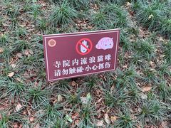 -西园戒幢律寺