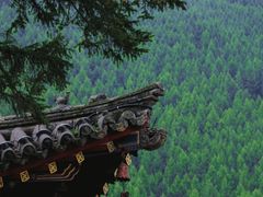 -五台山风景名胜区