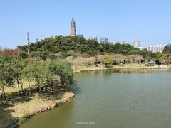 -顺峰山公园