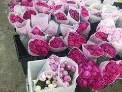 -王四营海鲜市场