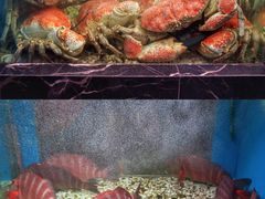 -金唐海鲜酒家