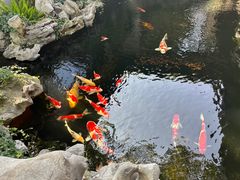 -鲤院·新中式美学·庭院餐厅(夫子庙店)