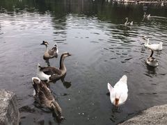 -西安秦岭野生动物园