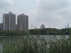 -黄兴公园