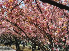 -苏州河梦清园环保主题公园