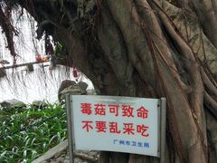 -荔湾湖公园