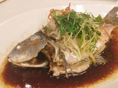清蒸鲫鱼-南海迎宾馆·经典南海菜