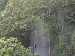 -太平山顶