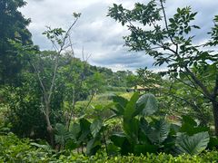 -广西壮族自治区药用植物园