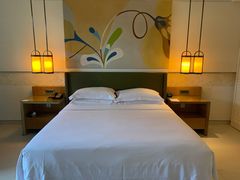 -三亚海棠湾万丽度假酒店