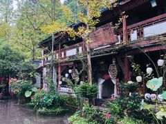 -青城甲(青城山店)