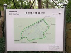 -九曜山