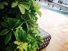 iphone_upload_pic-华侨城阳宗海海景温泉