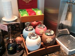 -虹桥机场国航贵宾室v8