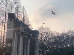 -音乐台