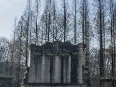 -音乐台