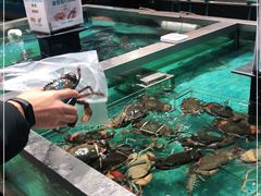 -盒马鲜生(领丰汇店)