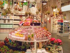 -KKV(深圳kk one 店)