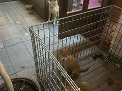 -Hi Fi Acoustic 梵香禅韵·色声香味
