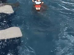 -水晶之星洗浴温泉汗蒸