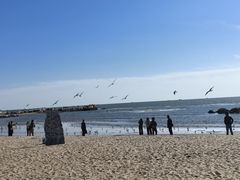 -老虎石海上公园