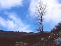 -太子岭滑雪场