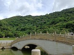 -阳台山森林公园