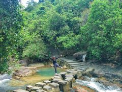 -广州白江湖森林公园