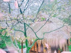 -中国茶叶博物馆(双峰馆区)