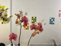 -ABCD咖啡屋(妇幼店)