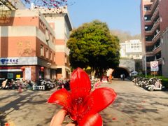 -厦门大学(思明校区)