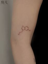 点击看大图 -飛凡TATTOO纹身•原创