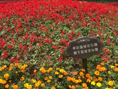 -庐山风景区花径公园