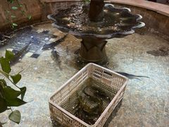 -万里闯关东铁锅炖菜馆(高新旗舰店)