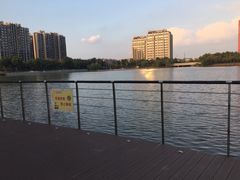 -南翔镇银翔湖公园
