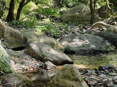 -云岫谷游猎自然风景区