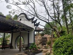 -东平国家森林公园