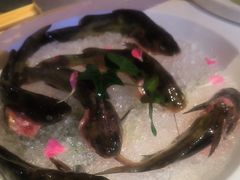 -蜀九香火锅(玉林店)