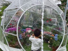-菊园百果园