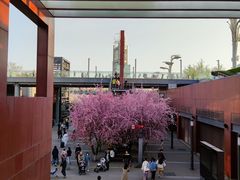 -谢蟹浓·肉蟹煲(新奥店)