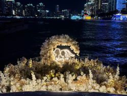 -迈瑞米求婚策划(静安店)