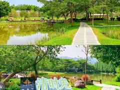 -佛冈森波拉度假区