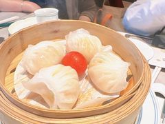 -新兴·金羊座·粤菜点心(乐峰店)