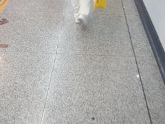 -嘉善路(地铁站)