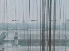 -广交会威斯汀酒店