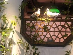-大鸽饭(岗顶店)