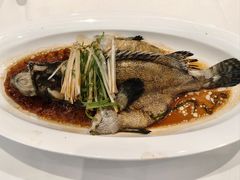 清蒸老虎斑-万龙洲海鲜(大兴绿地缤纷城店)