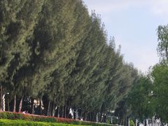 -宝安西湾红树林湿地公园