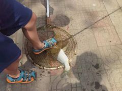 -尚庄度假村·庭台树下·户外烧烤·团建CS·轰趴营地(上庄水库店)