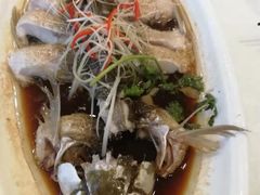 -鑫皇朝酒店(建设一路店)